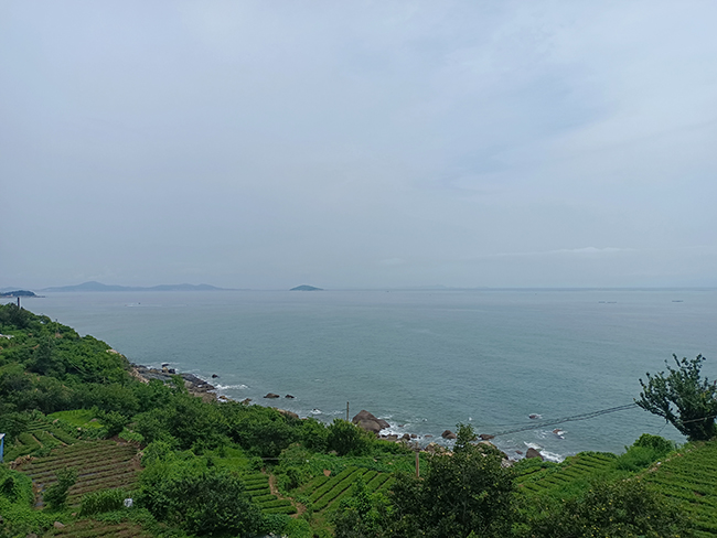 保持热爱，奔赴山海——青岛项目慰问观光之旅