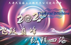 飞跃巅峰 纵横四海丨天易海工2024年迎新年会圆满落幕